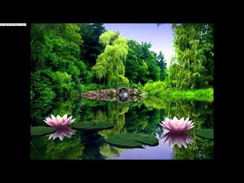 Pucaramanta – Tren al Cielo