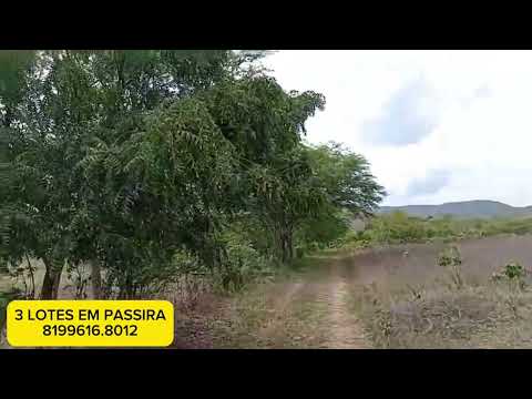 3 LOTES EM PASSIRA PERNAMBUCO| 81 99616.8012