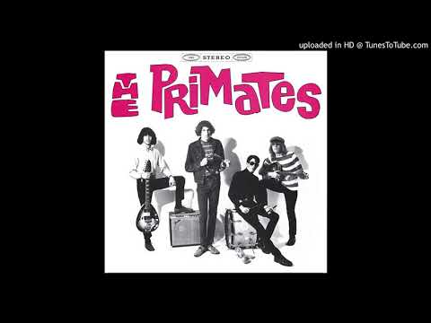 The Primates - Bad Luck
