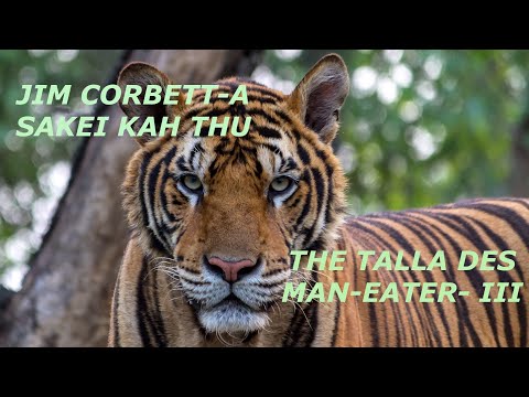 The Talla Des Man Eater - III   (Jim Corbett-a Sakei Kah Thu : Letlingtu - F.  Chhawnmanga)