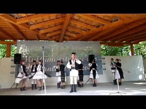 GHEORGHE TAMAS - "A venit primavara"