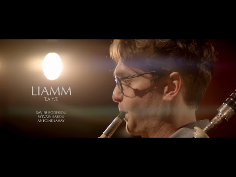 Xavier Boderiou / Sylvain Barou / Antoine Lahay - T.A.Y.T Hornpipes - LIAMM album