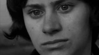 The Last Shadow Puppets - The Meeting Place