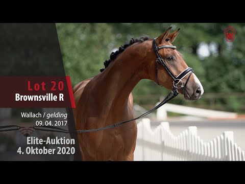 Elite-Auktion 4. Oktober 2020 Lot 20 Brownsville R Wallach v. Ben Benicio - His Highness