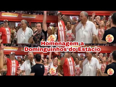 Viradouro presta homenagem a Dominguinhos do Estácio