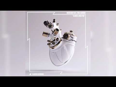 Lyric - Always Loved You (DIM3NSION /Lydia Schrough) letra NME