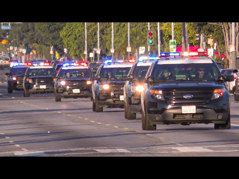 *14 UNITS* LAPD 77th Division Backup Response