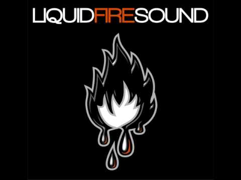 Füchse Remix Mix - Liquid Fire Sound