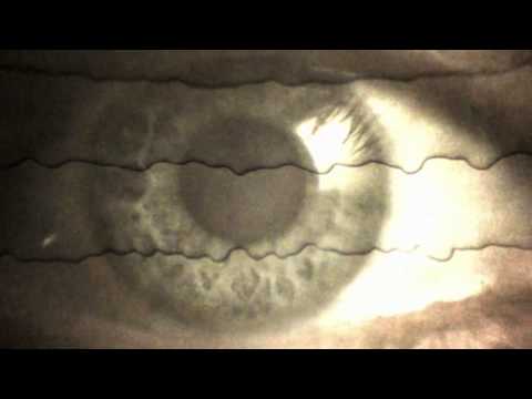 Full Of Keys - Human (Official Video)