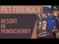 Pet Friendly Resort In Pondicherry K Resorts