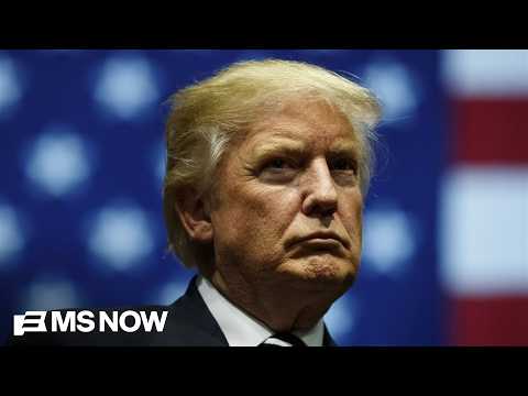 'Two-year-old who lost his toy': Fmr. Trump WH atty. Ty Cobb slams Trump harping on 2020 election