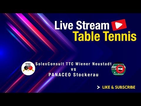 SolexConsult TTC Wiener Neustadt vs PANACEO Stockerau - Grunddurchgang 2024/2025