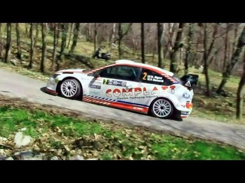 38°  RALLY 1000 MIGLIA   2014   /      SHAKEDOWN
