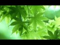 (黃慧音) Imee Ooi - Maha Jvalosnisa Dharani (消灾吉 ...