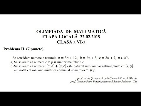 Olimpiada locala 2019, clasa a VI-a - Problema 2