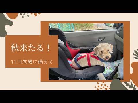 こども学科 秋来たる。〜11月危機に備えて〜 BGMヴィヴァルディ作曲"四季"より『秋』