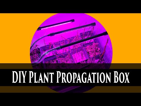 DIY  Propogation Box for Plants - Winter Dormant Rooting  Project