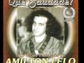 Amilton Lelo Montanha Maior Do Mundo