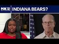Indiana Gov. Mike Braun on Chicago Bears moving forward with stadium plans in Hammond