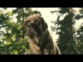 Marmaduke Thats What I Like About You