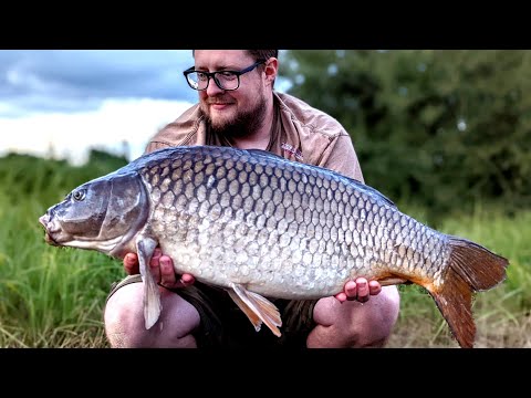 Orchard place - Lake 7