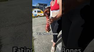 Eating Moose Bones