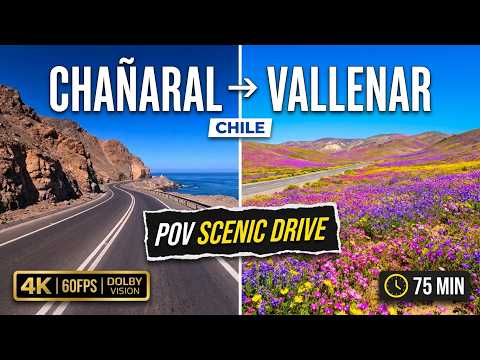 🇨🇱 CHAÑARAL ➜ VALLENAR | O Encontro do Mar com o Deserto 🚐🌊 | 4K Dolby Vision 60FPS