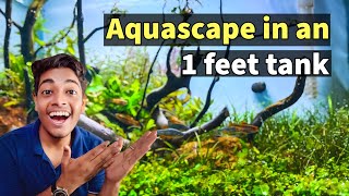 No CO2 Nano aquascape with collected native rocks & driftwoods !