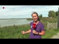 Het Vogelfestival staat weer op de agenda