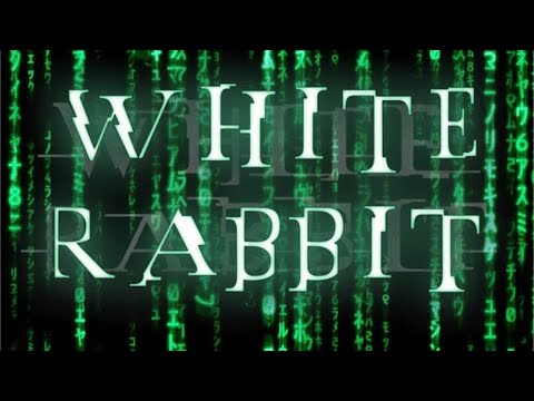 Follow The White Rabbit