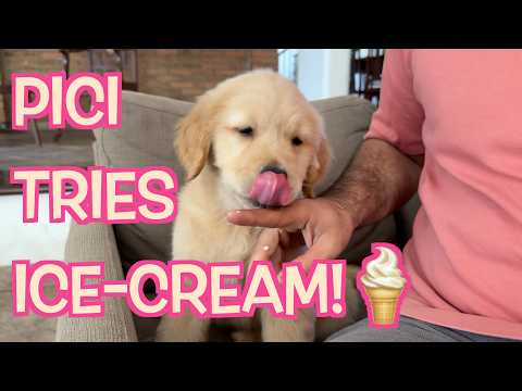 Aary Vlogs and Archana Puran Singh