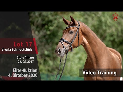 Elite-Auktion 4. Oktober 2020 Lot 17 Viva la Schmuckstück v. Vitalis/St. Moritz  – Trainingsvideo