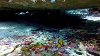 preview picture of video 'Indonesia 2014 - Trip around Florès Island & Diving in Komodo National Park - GoPro'