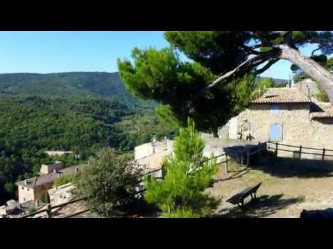 Video vignette