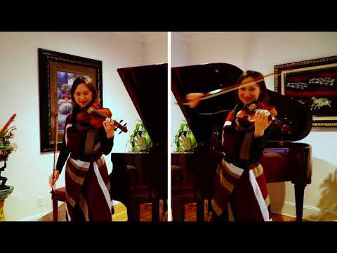 Assassin's Creed: Rogue - Main Theme - Violin Cover