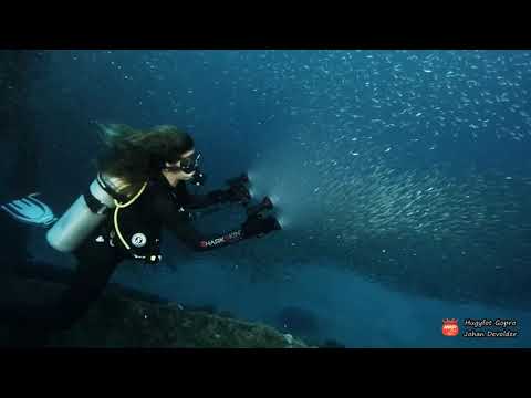 Duikclub Barracuda - Hugy VisiOn 2