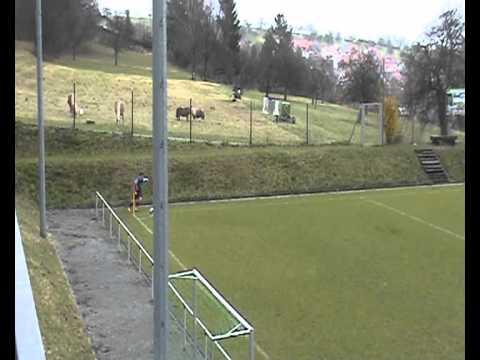 080316 / SV Völkersbach - FV Wössingen / 1:1