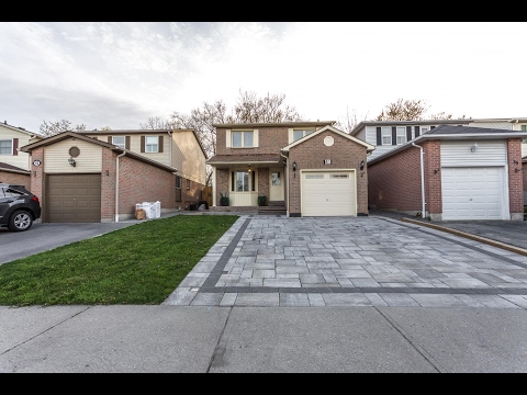 41 Mandrake Street Ajax, Team Awesome