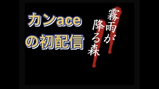 【初生配信】ついに立ち入り禁止の森へ【霧雨が降る森】＃4