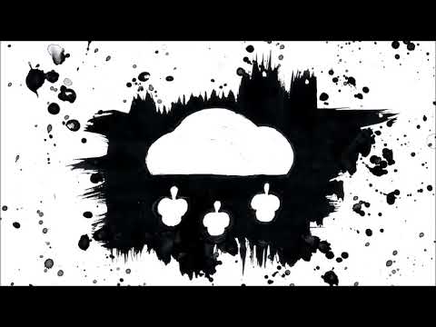 AspärClåud - tulipany