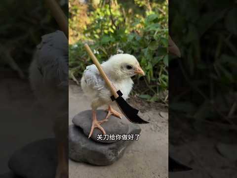 Raju fighting enemy🤯 😨I New Viral Gadgets, Appliances, kitchen utensils/ Home Investions🤯😱 #shorts