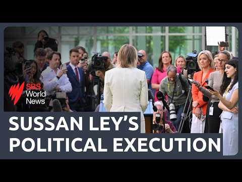 ‘Options are change or die and I choose change’, the Liberal Party under new leadership