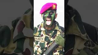 Download lagu Story wa TNI AL Marinir Sangar city😱🔥🇮🇩 mp3