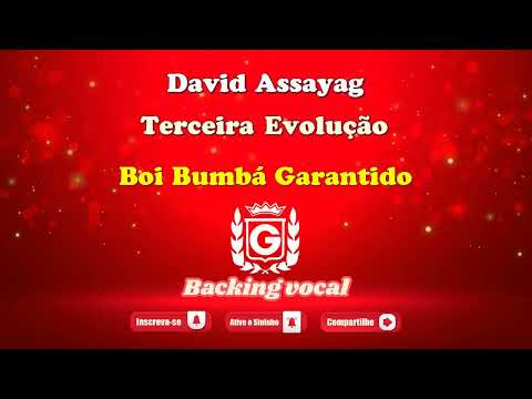 3º Evolução - Boi Garantido
