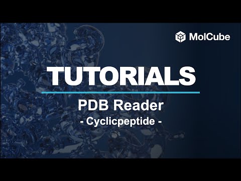 01. PDBReader - Cyclicpeptide