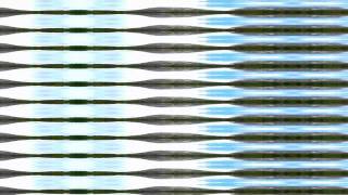 Carlos Forster "Campfire Songs" featuring M. Ward