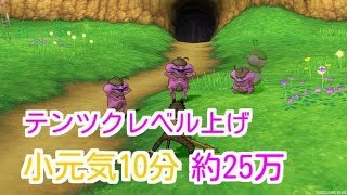 ドラクエ10実況120 「テンツクでレベル上げおすすめ！！」