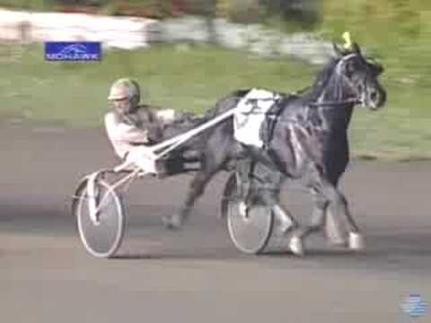2008 Wellwood Memorial Trot