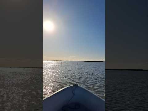 Que linda que estas Salada Grande de Madariaga, teníamos ganas de verte así #pesca #saladagrande