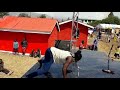 Mdada Akikata Mauno Nane Nane MBEYA2019